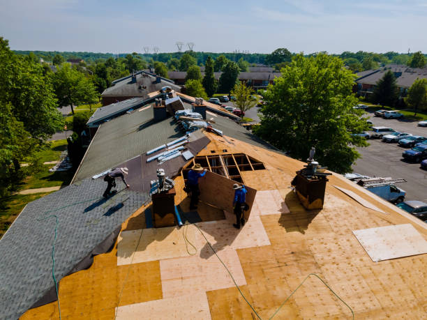 Trusted Roof Replacement service in Wilmont, MN - Brentwood Metal Roofing